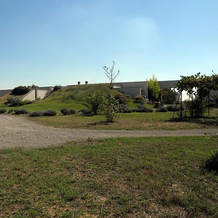 Costantucci Country House Fiumicino Exteriér fotografie