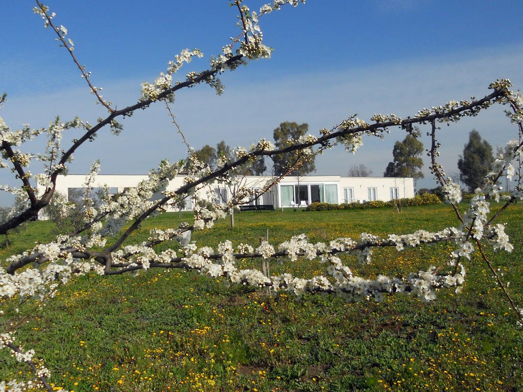 Costantucci Country House Fiumicino Exteriér fotografie